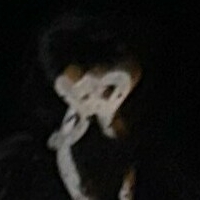 bunnyfox420_free Desnuda