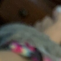 butterflylovebug Desnuda